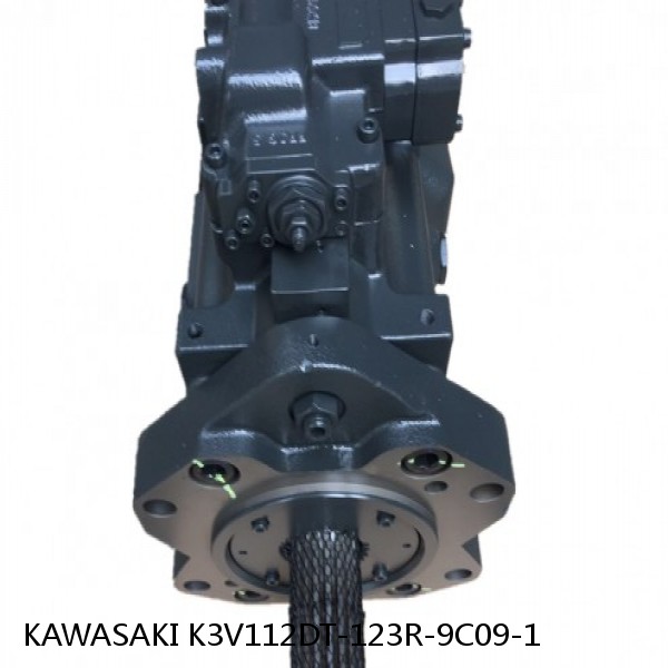 K3V112DT-123R-9C09-1 KAWASAKI K3V HYDRAULIC PUMP #1 image